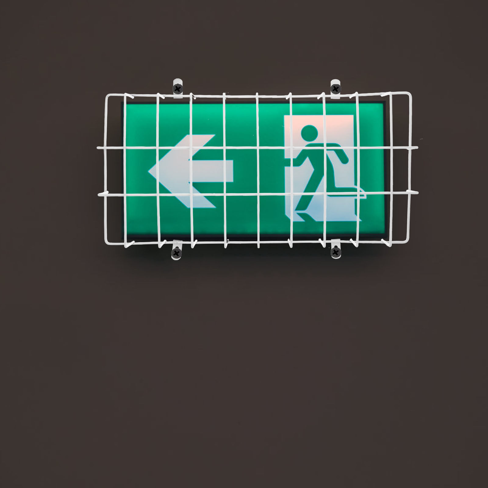 Emergency Exit Sign - Exit Sign Light Wire Guard Metal
